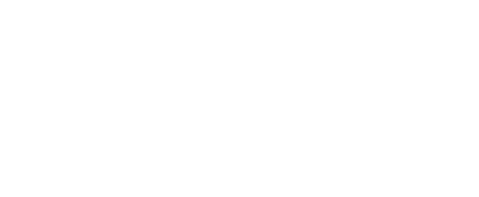 Abstract Birds